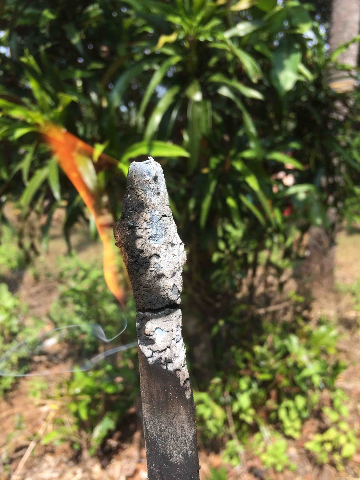 Fire wood