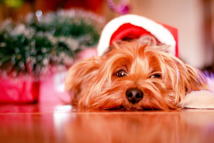 # Christmas