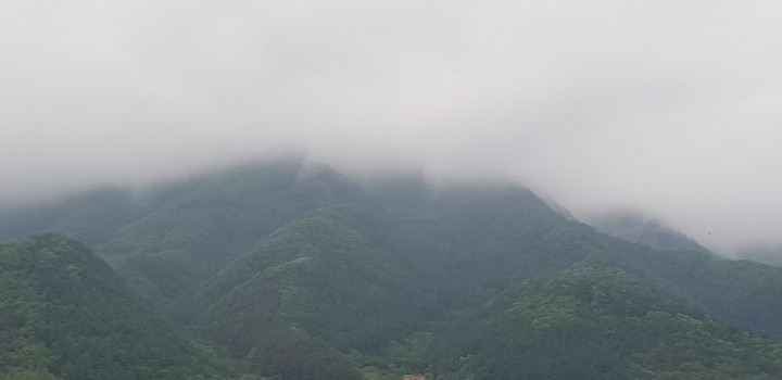 안개낀 산
