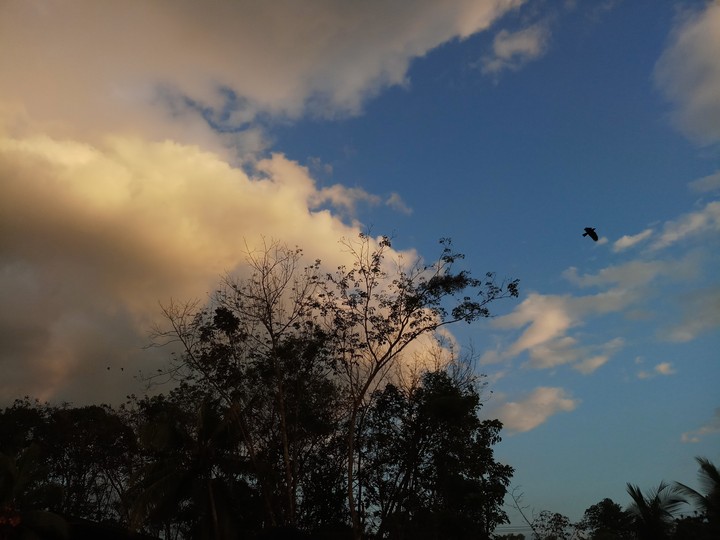 sky