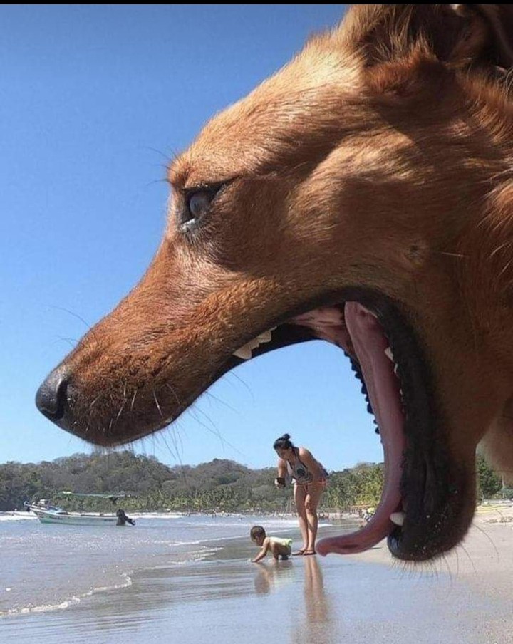 At the beach