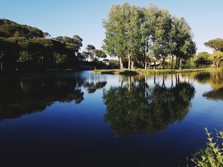 Mirrored