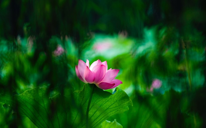 ~○｡°•♡♡♡•°｡○~
