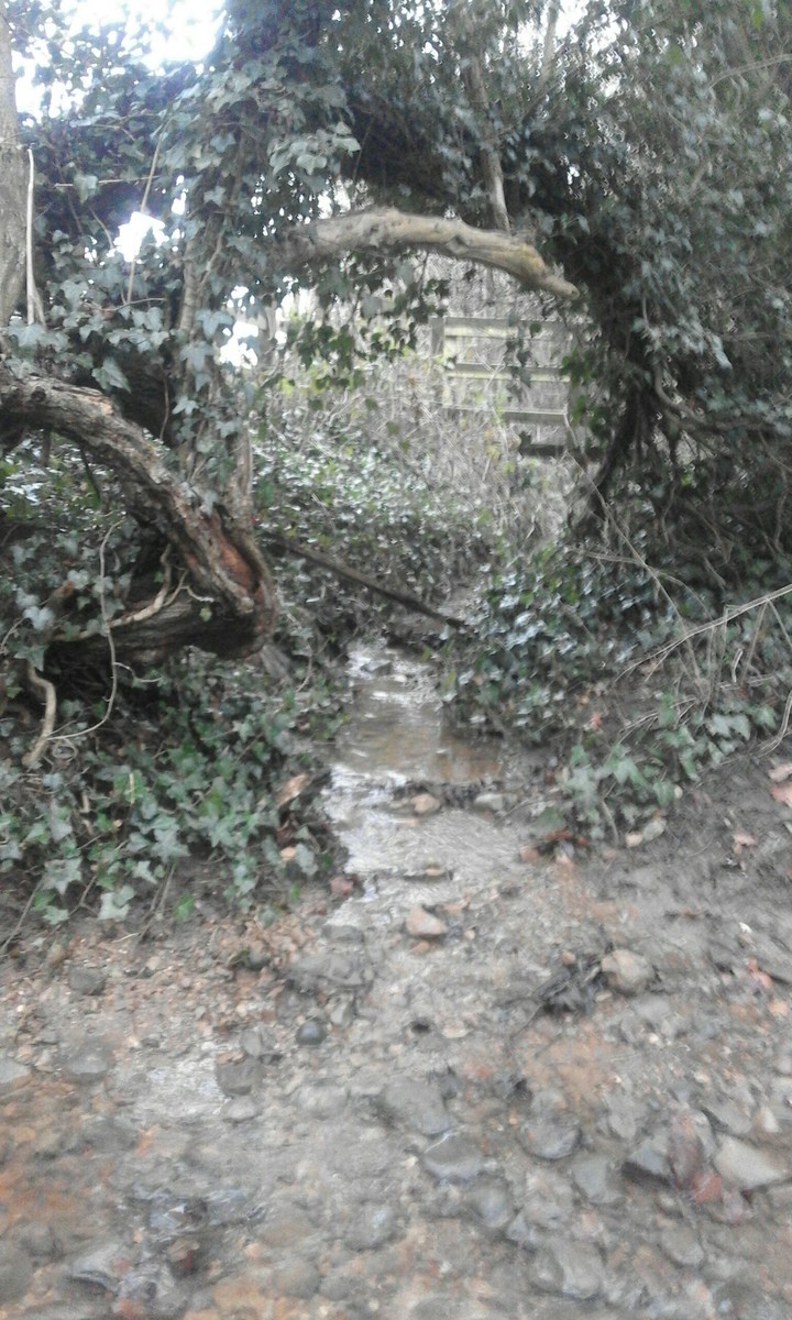 secret place