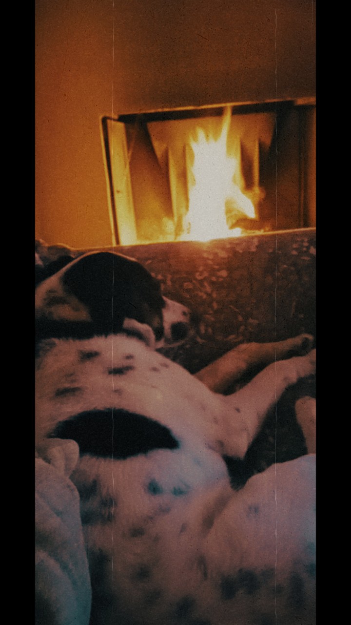 Bruno