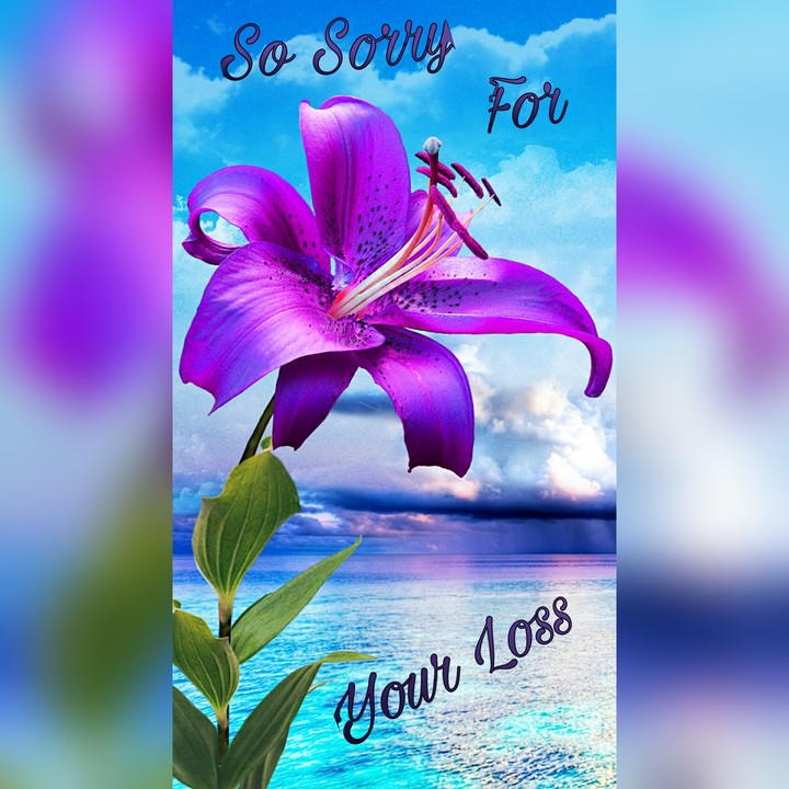 loss of a loved one