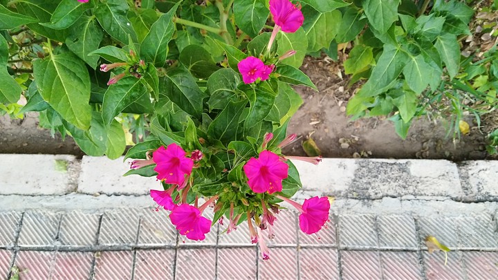 Be free