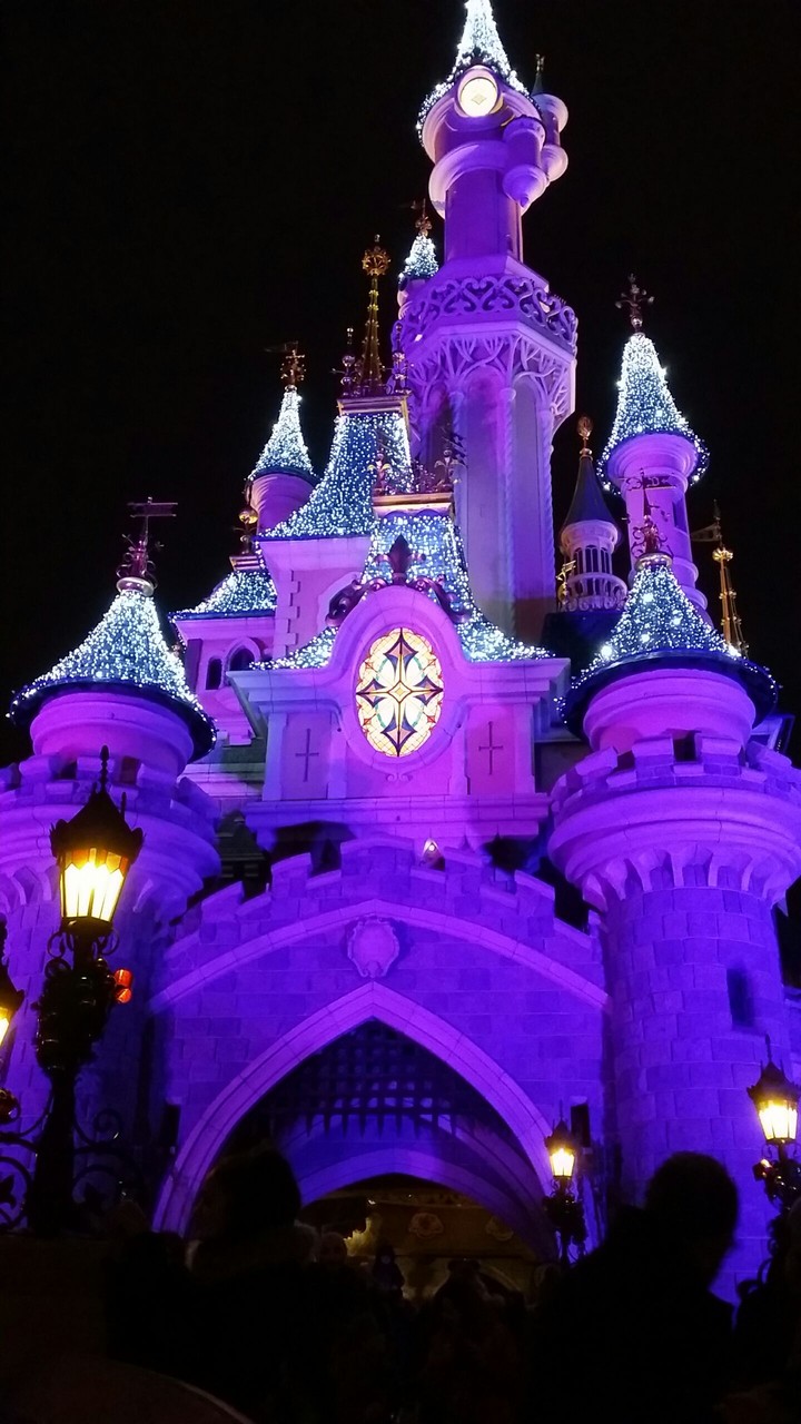 castle of sleeping beauty