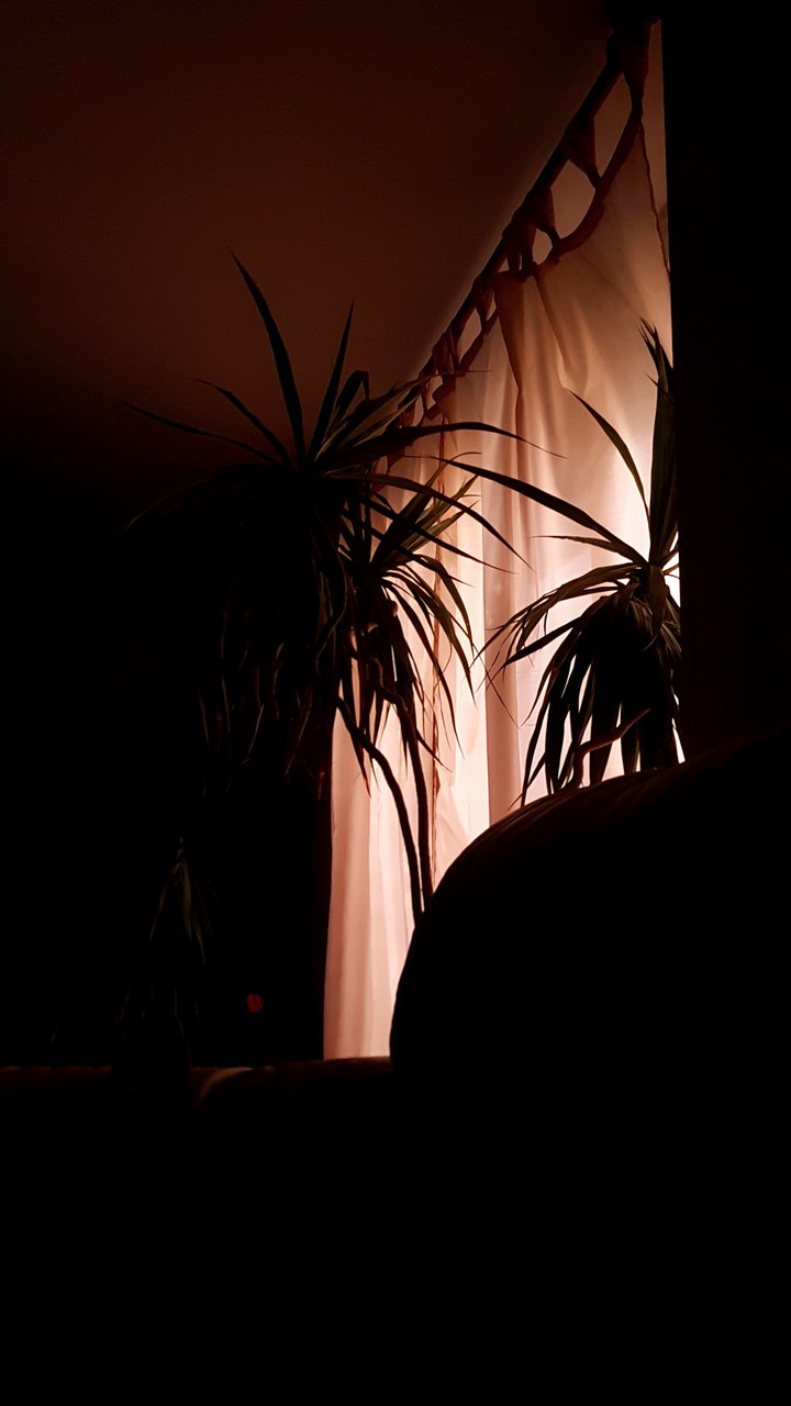 Relax?