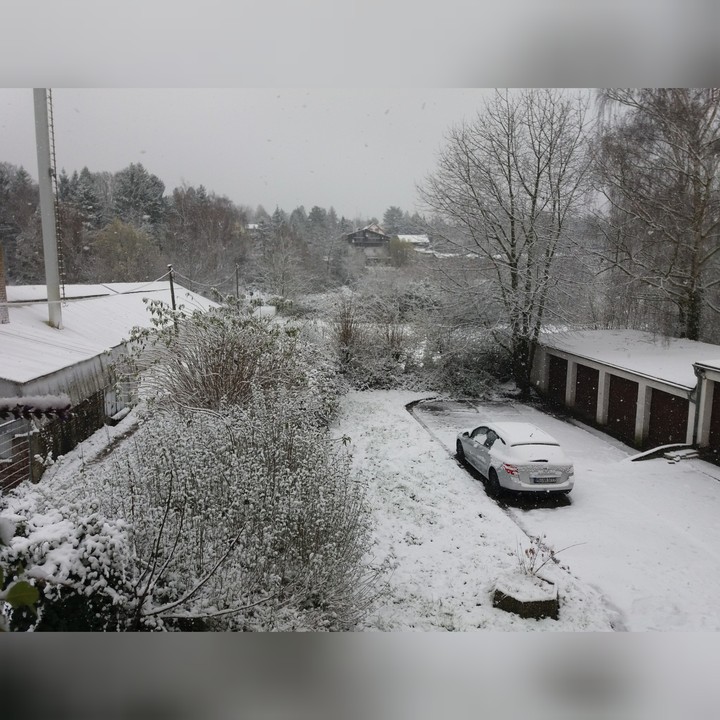 Schnee