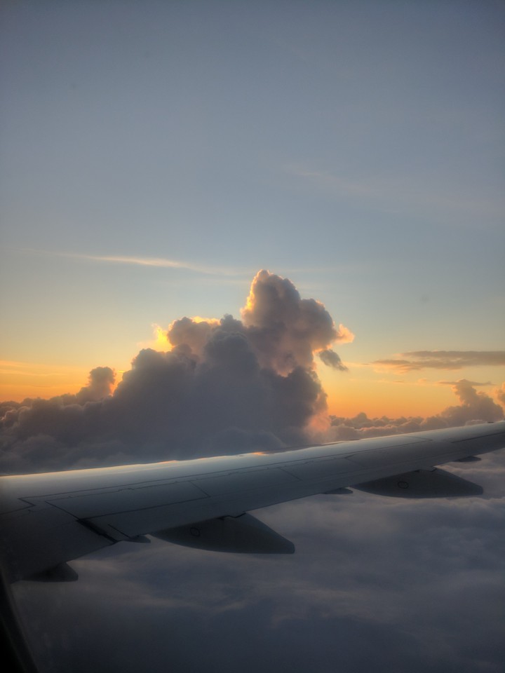 fly