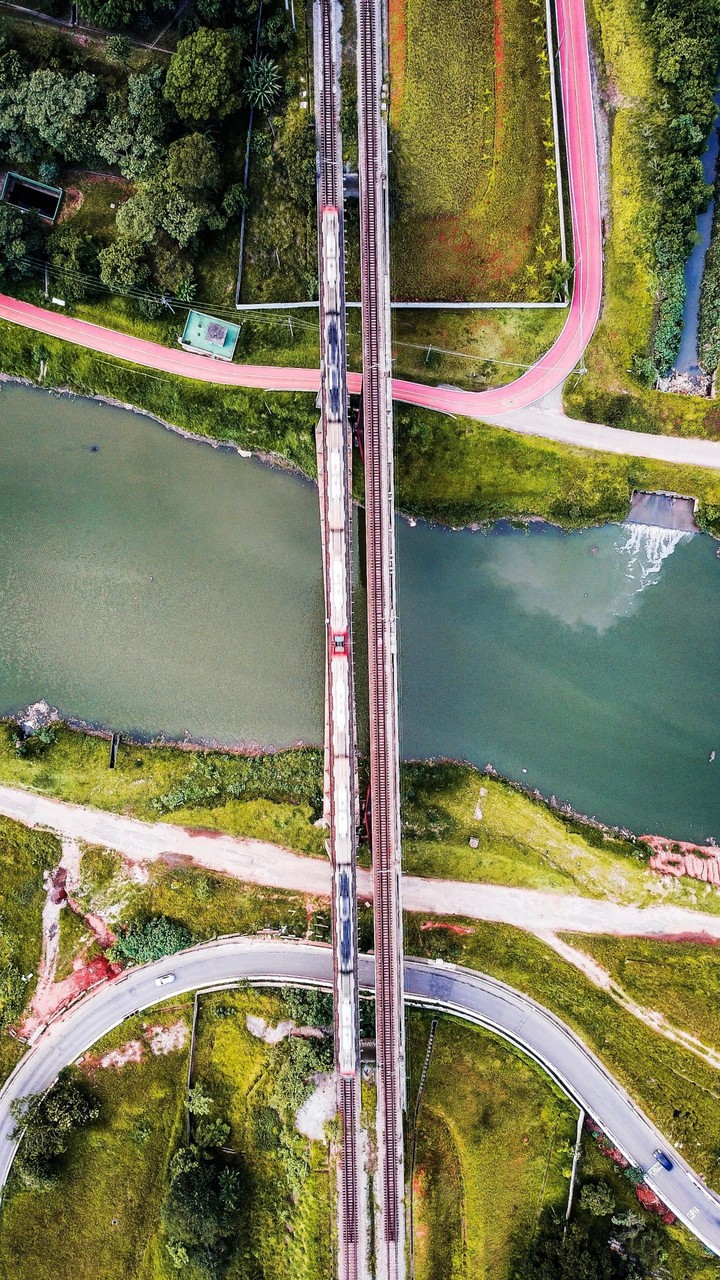 Birdseye