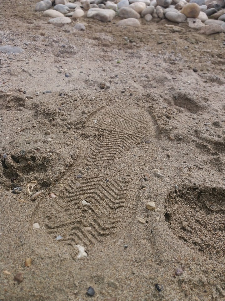 foot
