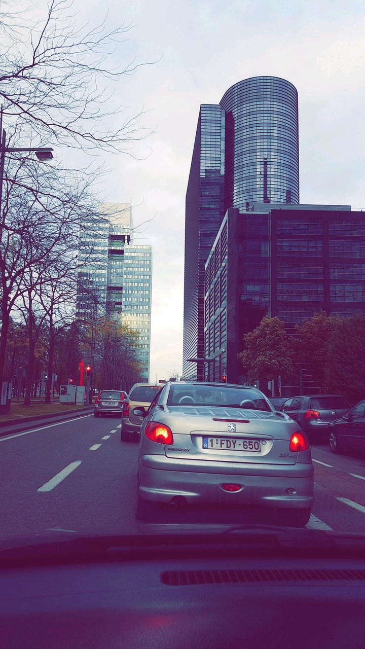 Brussels