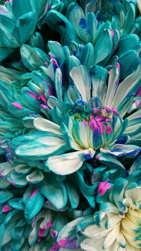 sfondi purple, turquoise