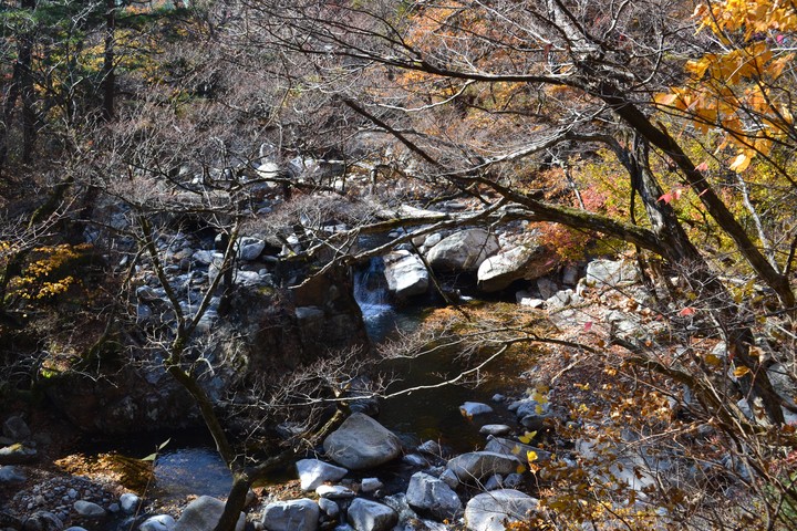 산이미지