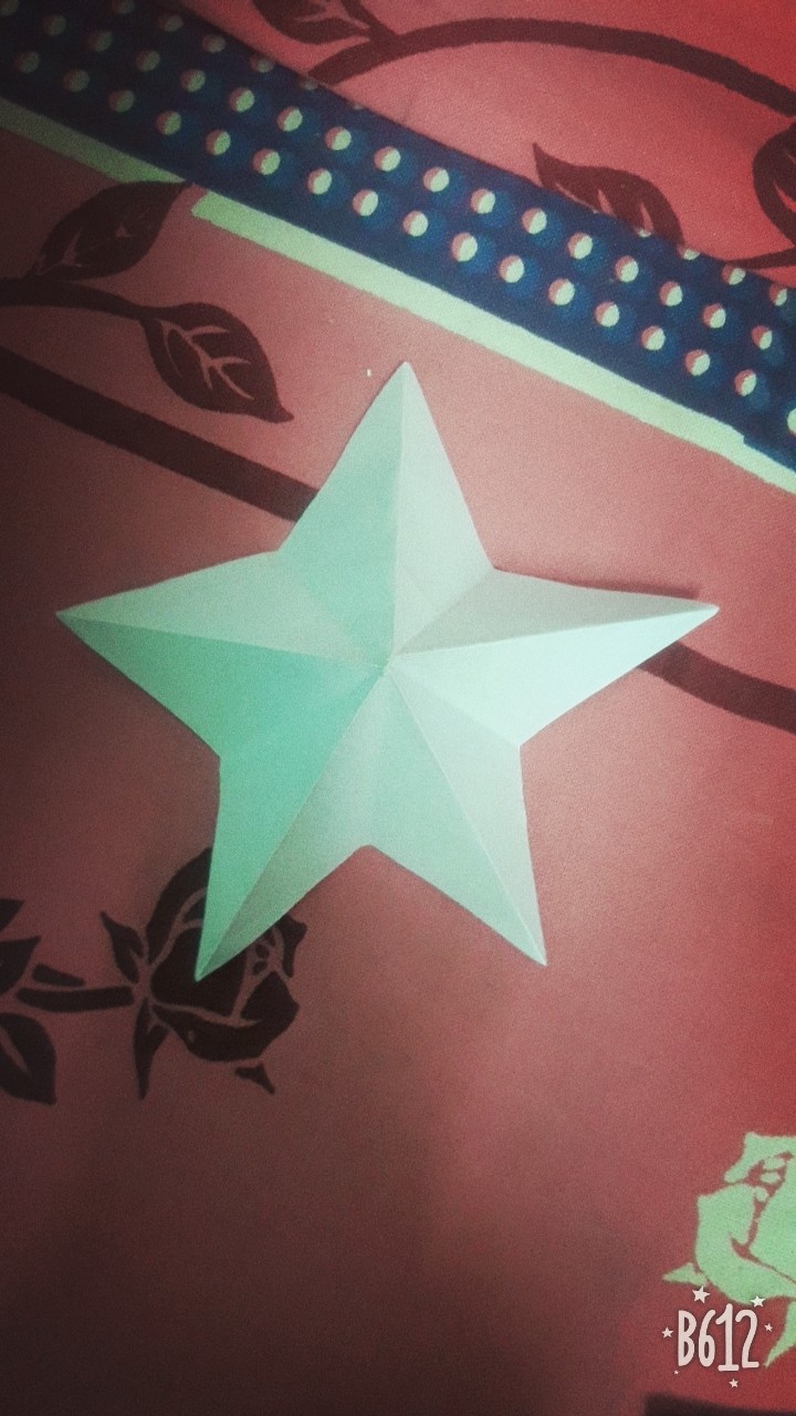 3d star