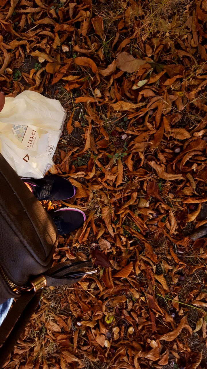 autumn