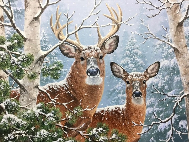 deer