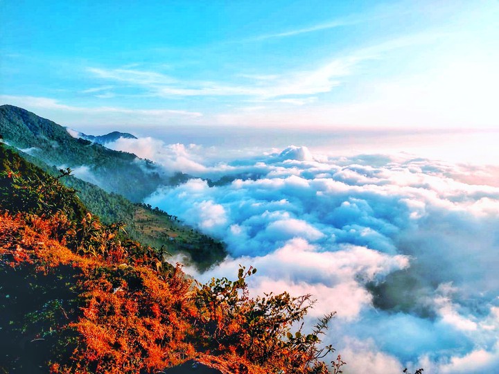 Bhutan Shouryaman