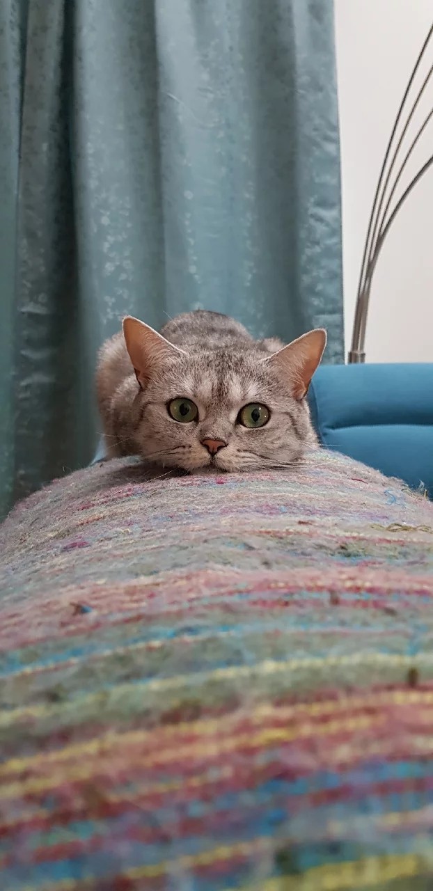 Ляля?