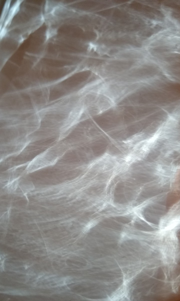 Sunlight on Porcelain