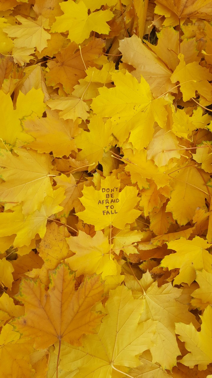 Autumn Leaves