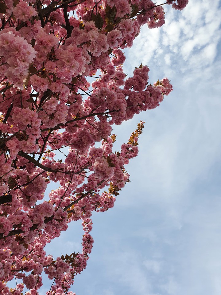 spring time