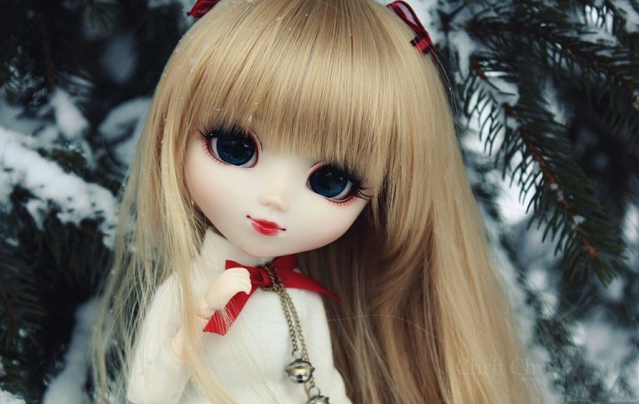 Dool