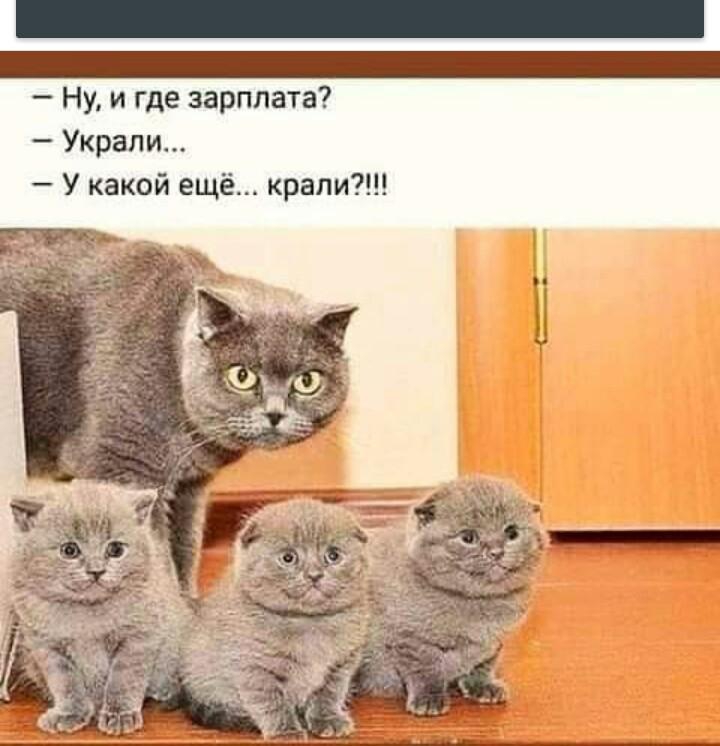 ?????
