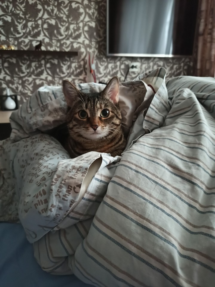 Eva