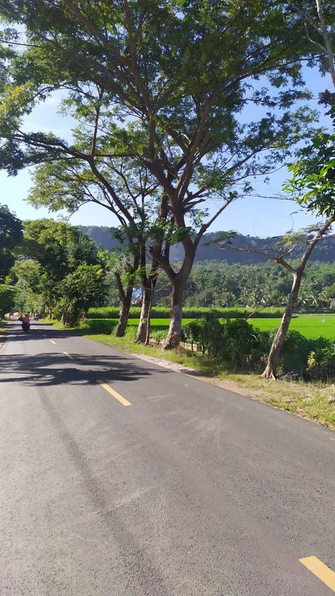Calm Road