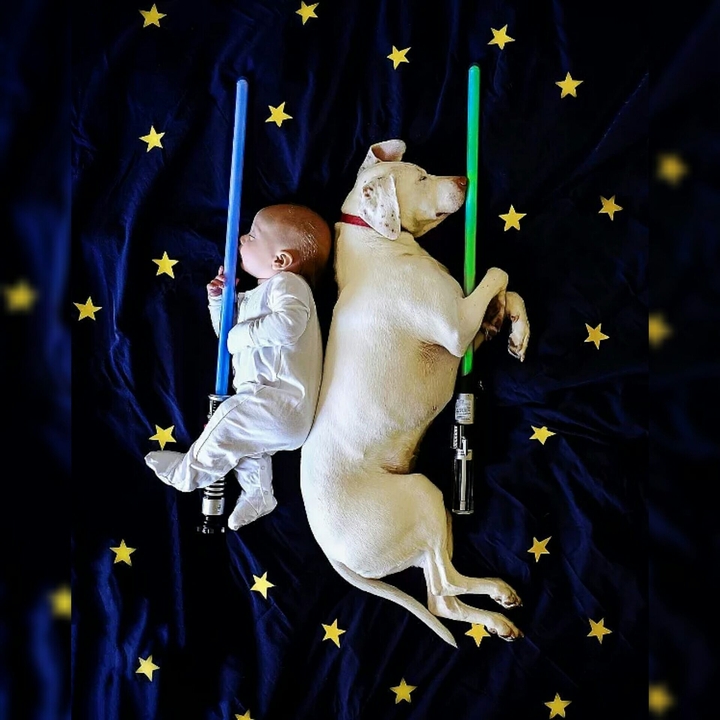 sleepwars