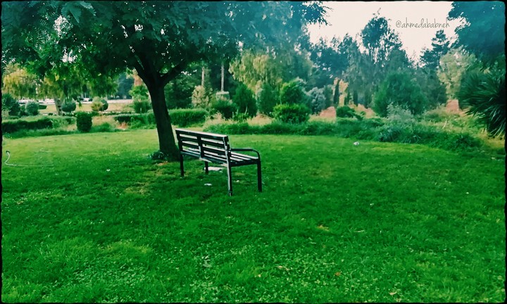 جامعة العلوم والتكنولوجيا _ university JUST