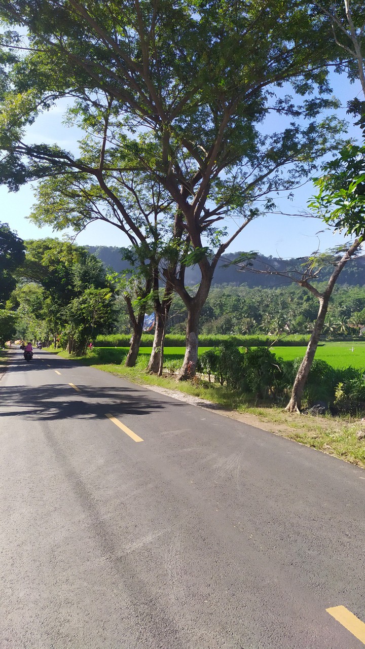 Calm Road
