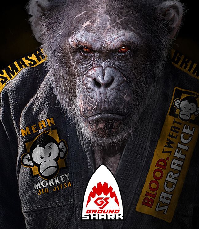 Monkey BJJ