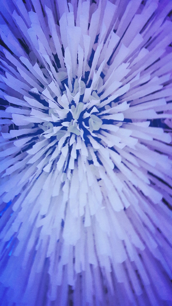 Hanging paper