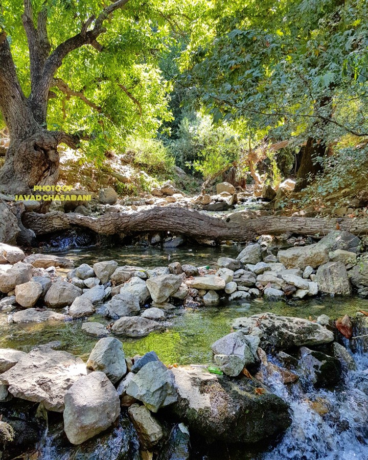 سراب فارسبان _ نهاوند _ همدان