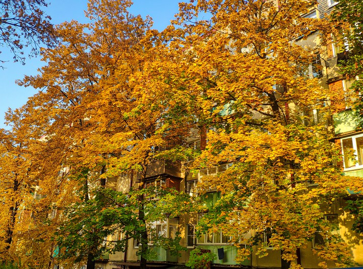 autumn is a wonderful painter