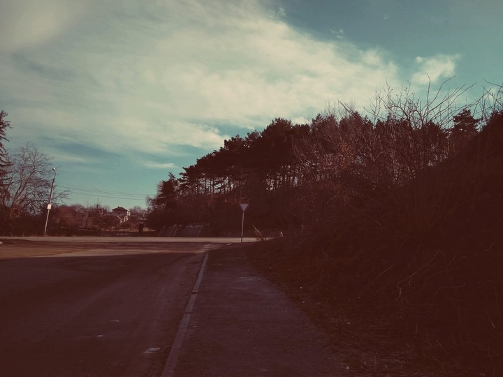 The road near the forest