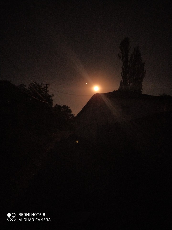 night ?