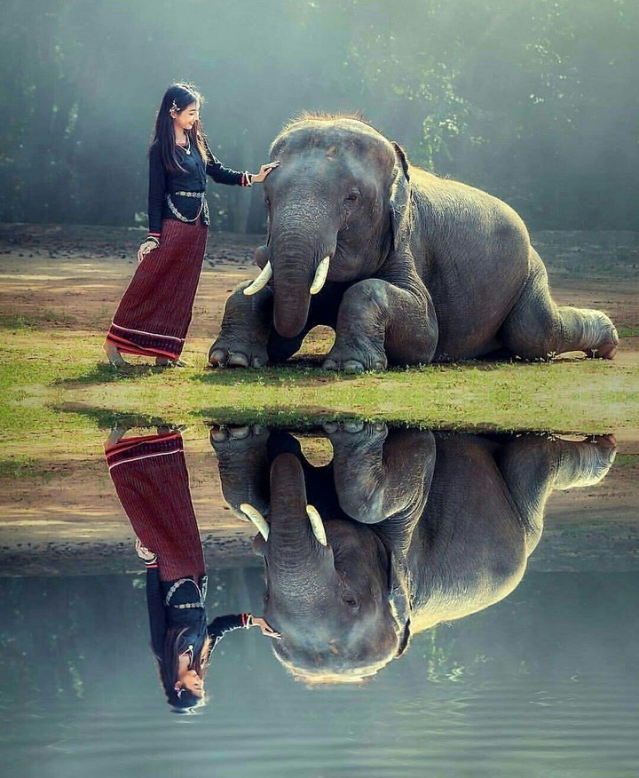 the_amazing_reflection