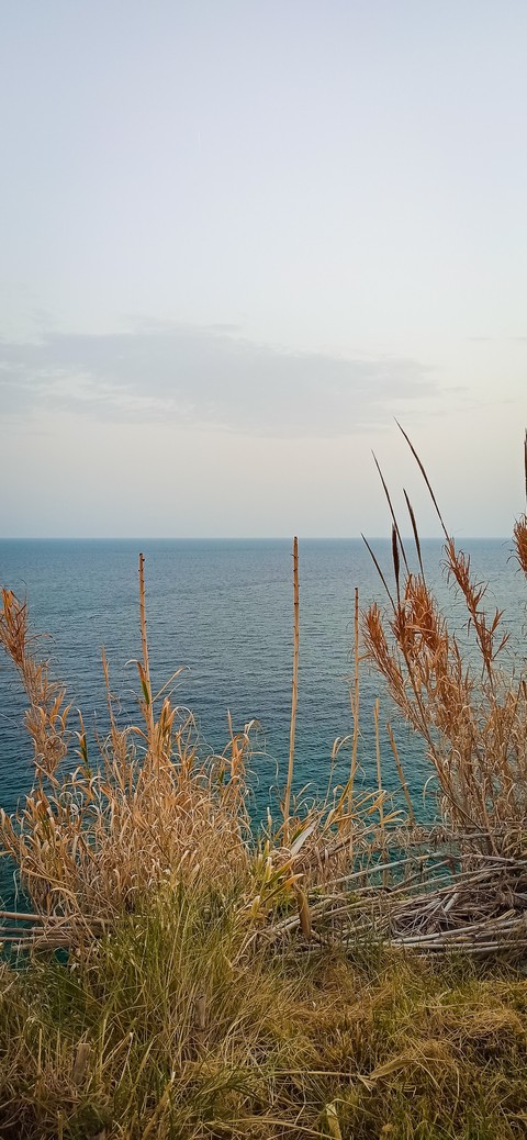 sea