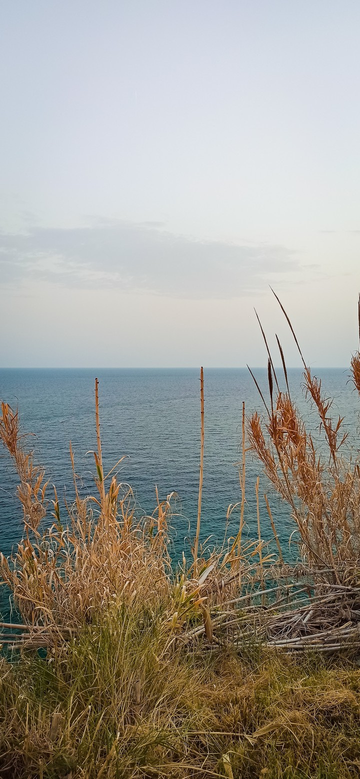 sea