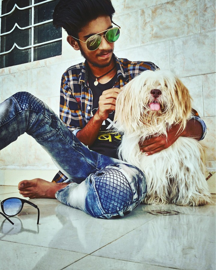 dog images