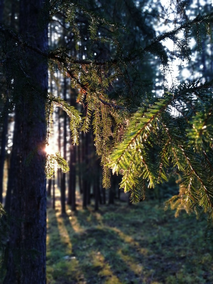 тепло уходящего лета