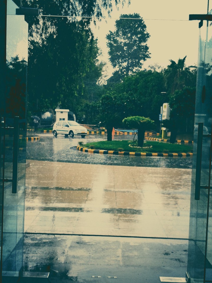 Rain