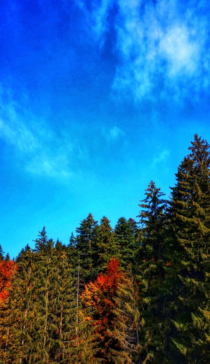 fresh air