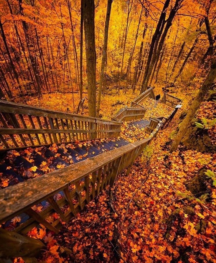 Mono Cliffs Provincial Park