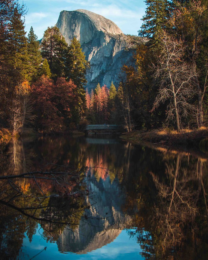 Nature
